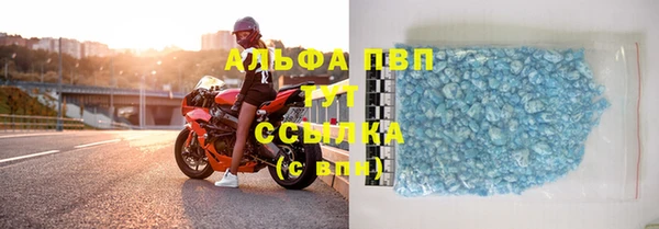 шишки Арсеньев