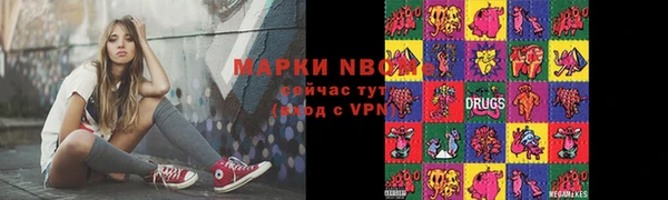 шишки Арсеньев
