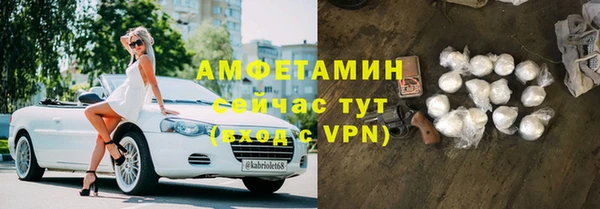 шишки Арсеньев